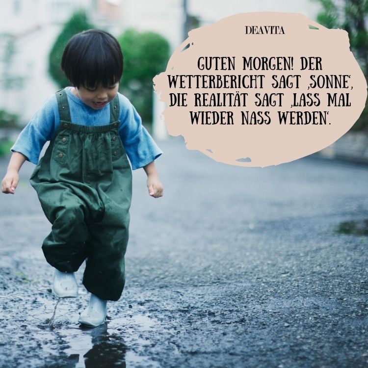 regen im sommer lustige sprüche bilder