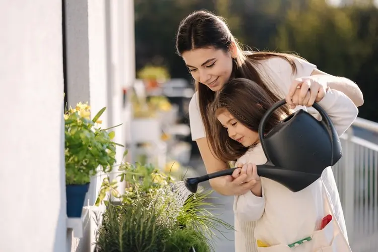 Regenwasser sammeln oder Bewässerungssysteme für den Balkongarten nutzen