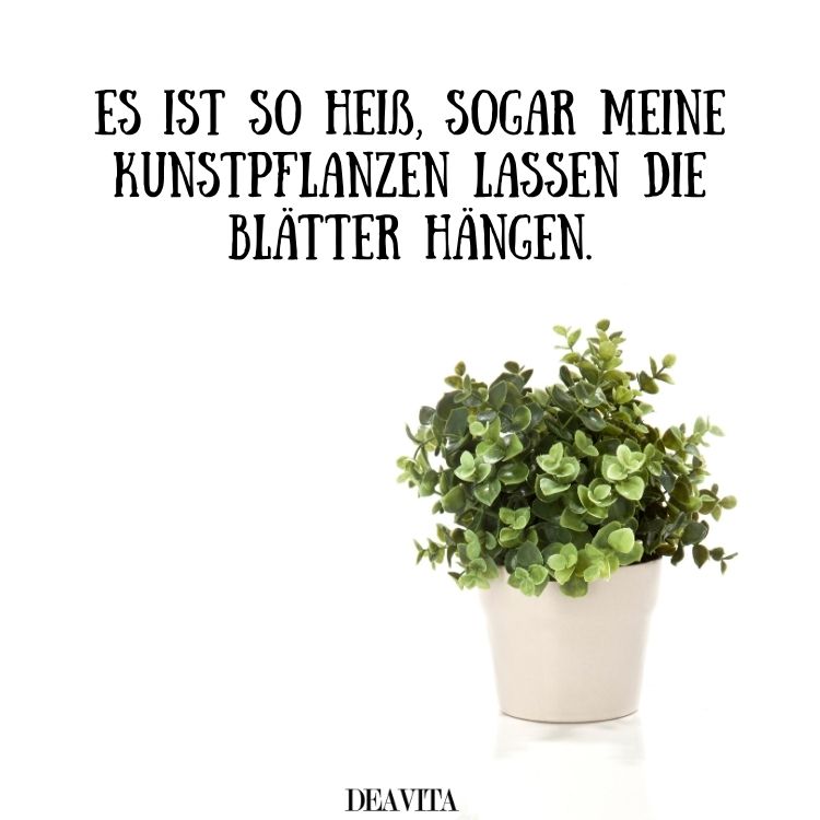 sprüche zur hitze lustig