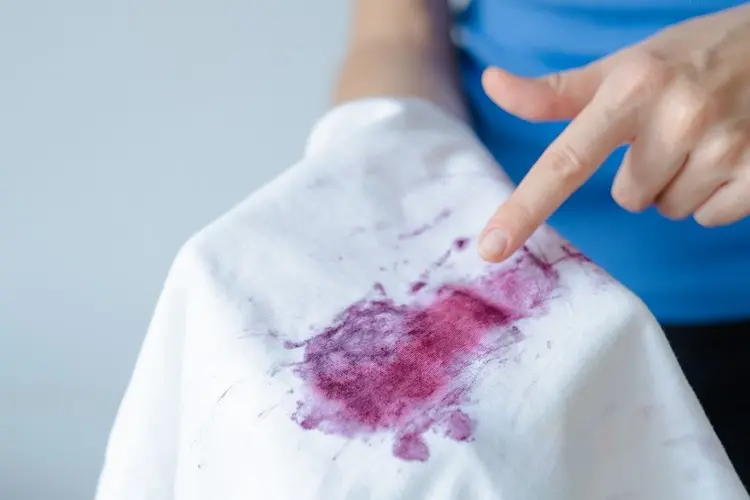 Tipps, wie Sie Obstflecken von Brombeeren effektiv loswerden