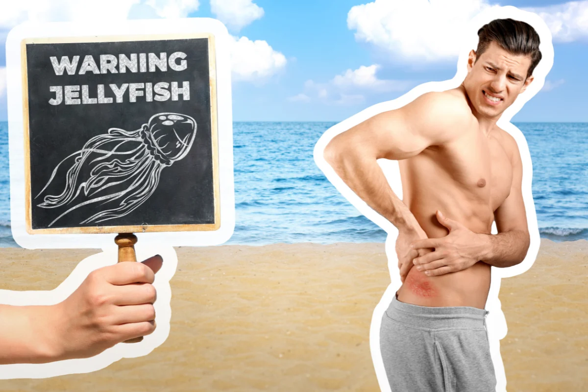 urlauber am mittelmeer aufgepasst quallen und seeigel sind gefahren im meerwasser