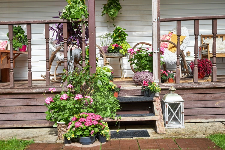 balkonblumen spätsommer bis herbst