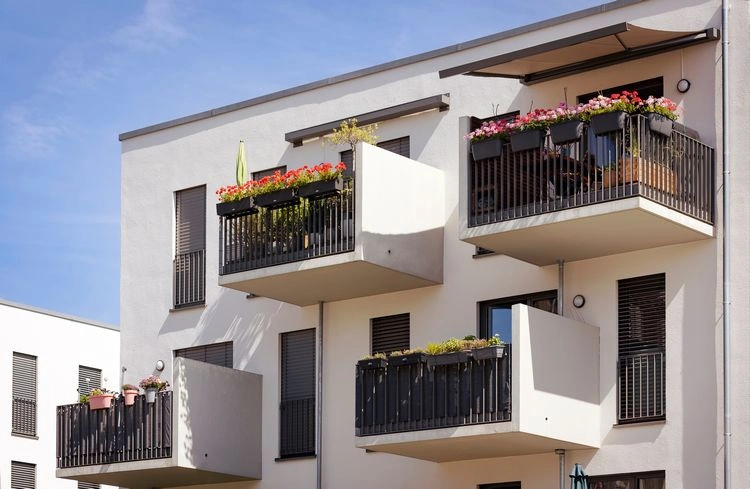 die richtigen pflanzen für sonnige plätze auswählen