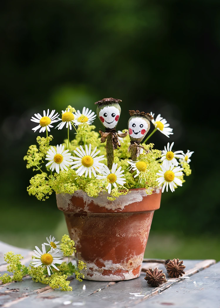 diy männchen aus mohnkapseln in blumentopf