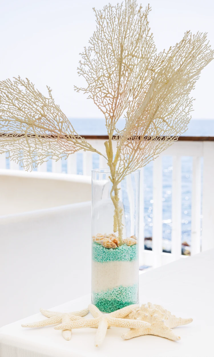 ein tisch am meer, der mit weißen korallensterfischen geschmückt ist, eine vase mit grünweißem sand, muscheln und großen weißen korallen die dekoration ist im maritimen