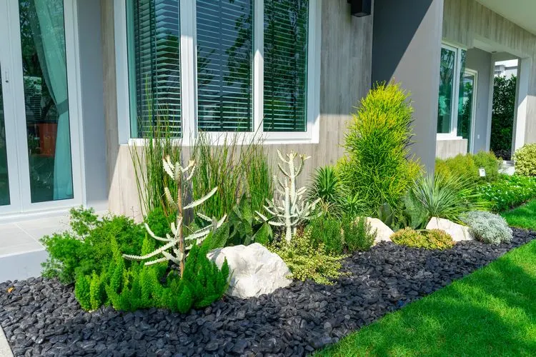 garten gestalten die richtigen pflanzen für einen kies vorgarten