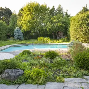 Garten mit Bodendeckern gestalten um den Poolbereich