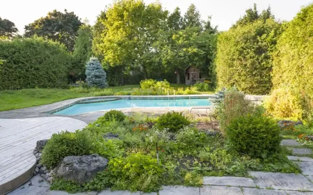 Garten mit Bodendeckern gestalten um den Poolbereich
