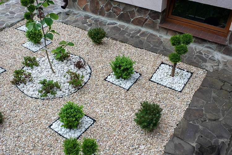 geometrische gartenstruktur mit zierkies und formschnittgehölzen – kreative idee für kleine flächen