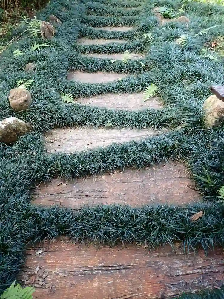 grüne freunde auf dem weg