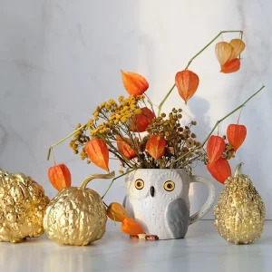 herbstliche deko mit lampionblume