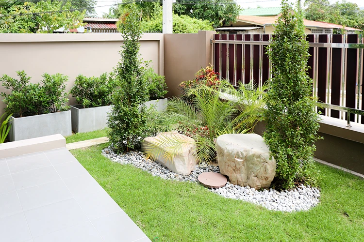 kleines kiesbeet mit natursteinen und palmen im modernen vorgarten anlegen