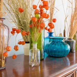 lampionblume in der vase herbstliche deko