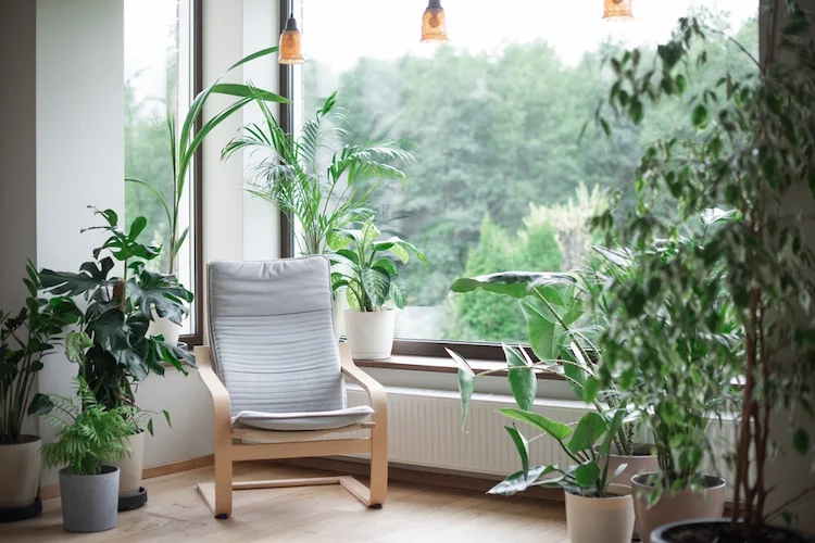 Leseecke mit Gartensessel im Wohnzimmer einrichten Tipps