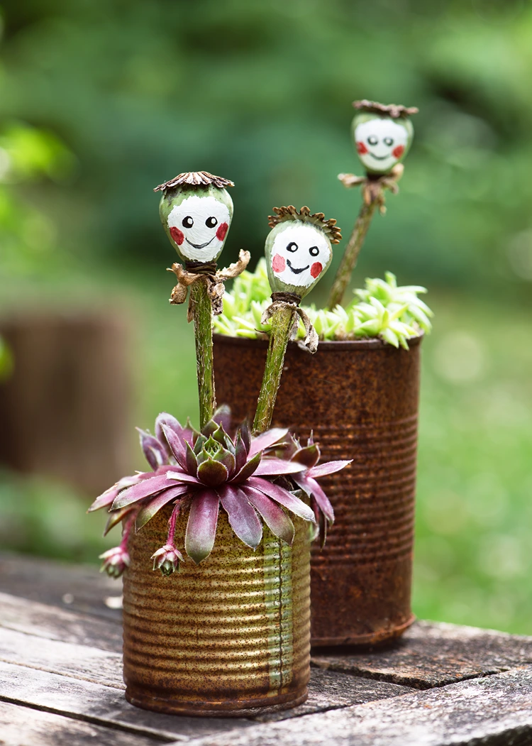 lustige männchen aus mohnkapseln