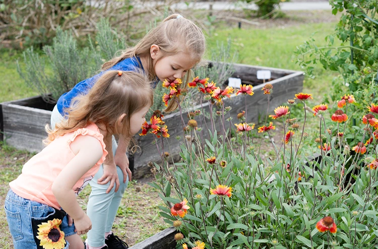 natur erforschen kreative kindergeburtstag ideen