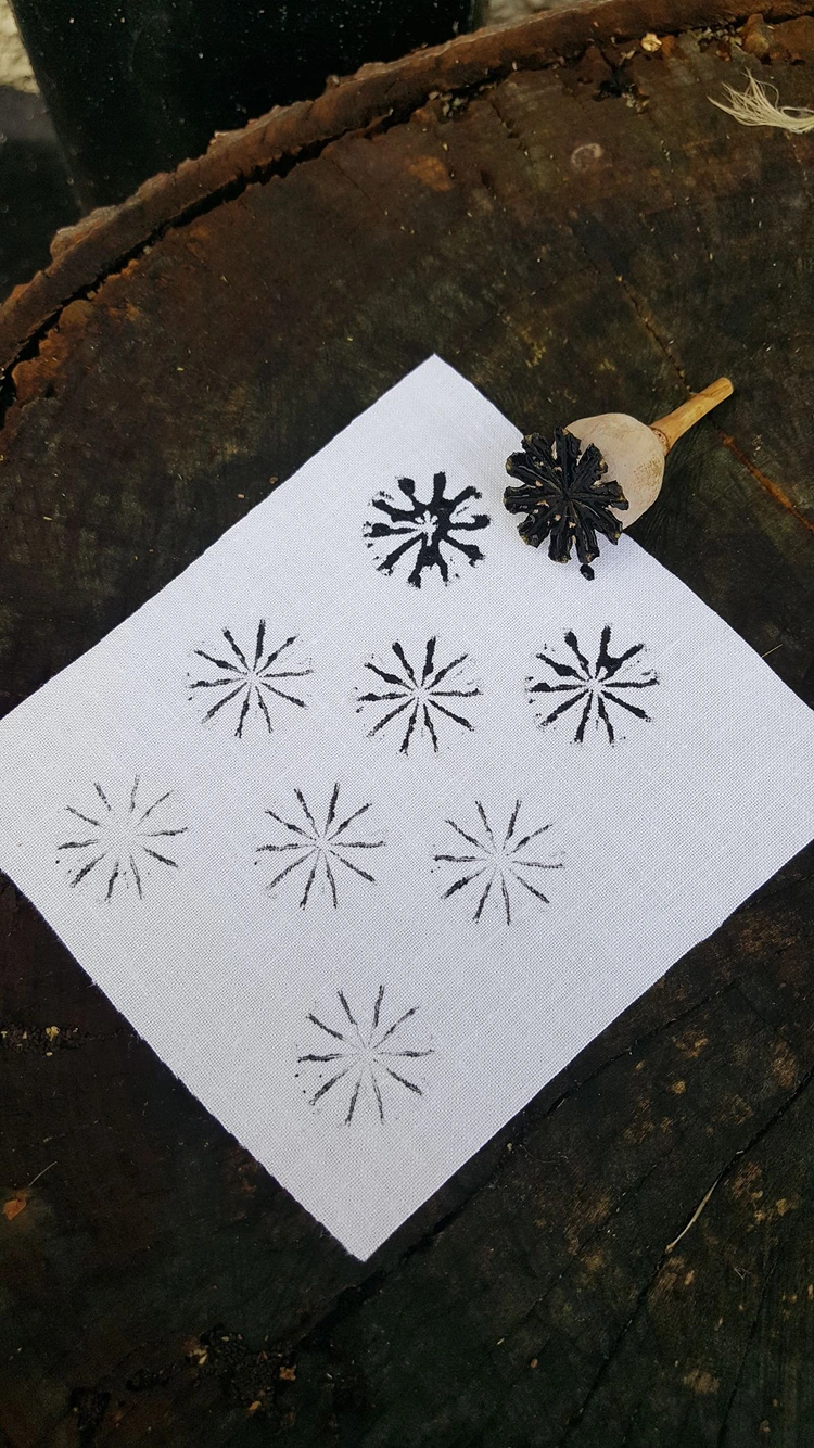 natur stempel idee mit mohnkapseln