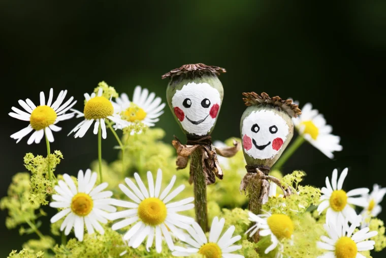 niedliche männchen aus mohnkapseln