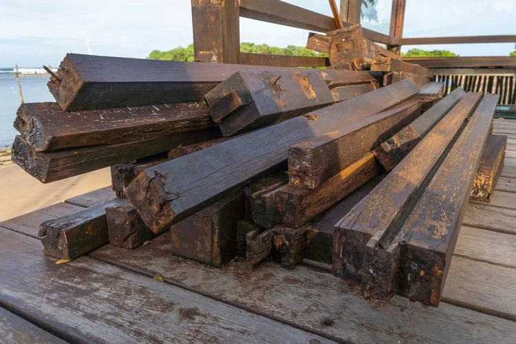 pilzbefall auf holzterrasse mit hausmitteln oder speziellen produkten loswerden