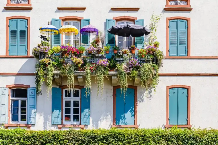 sahara hitze in deutschland so kann ein sonnenschutz für kübelpflanzen der retter auf dem balkon sein