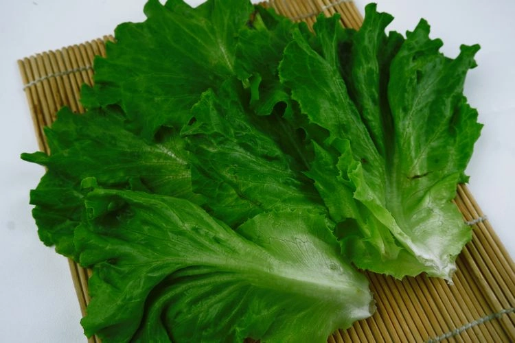 salat knackig halten wichtige tipps