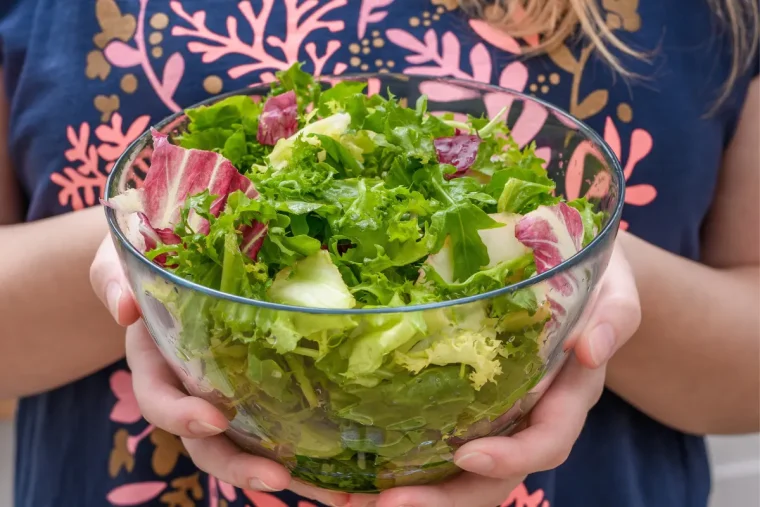salat knackig halten wie sie den salat länger frisch und lecker aufbewahren können!