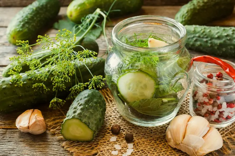 Scharfe Rezeptidee mit Chili und Knoblauch