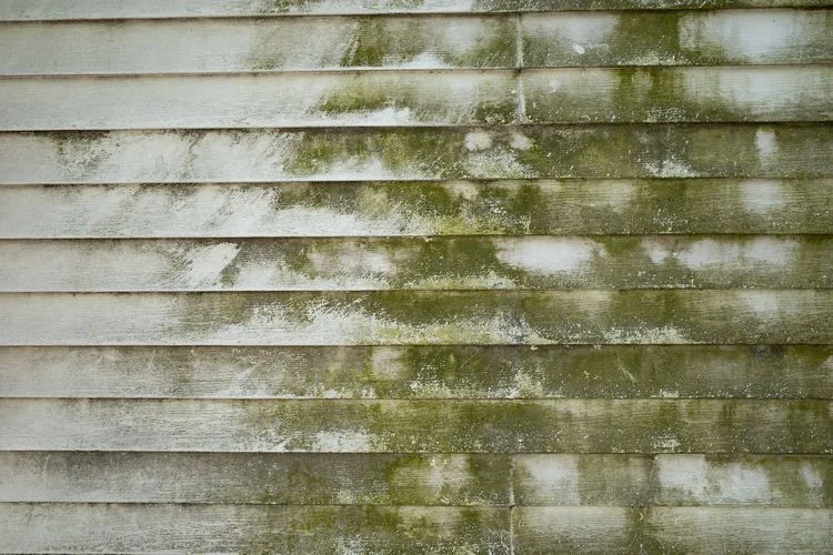 schimmelflecken verhindern