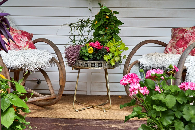 schöne balkonpflanzen für september oktober