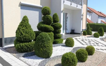 schöne vorgärten mit kies bilder und ideen für moderne vorgartengestaltung!