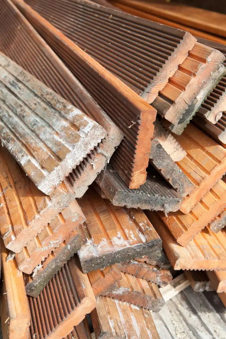 schritt für schritt so entfernen sie schimmel richtig