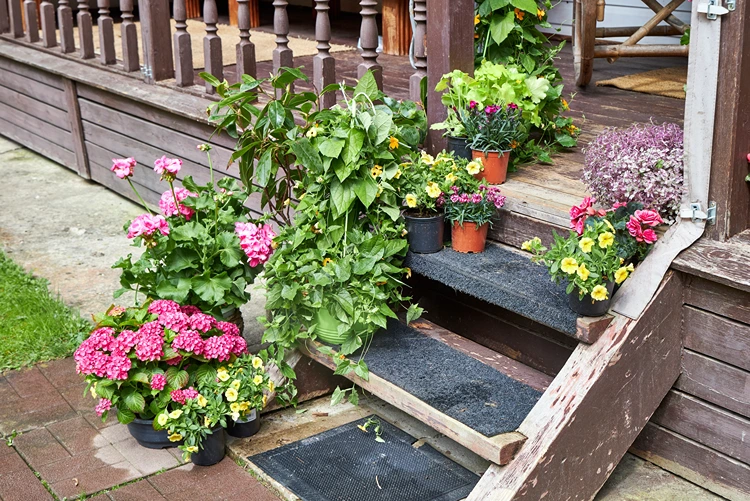 spätsommer balkonbepflanzung auf den treppen