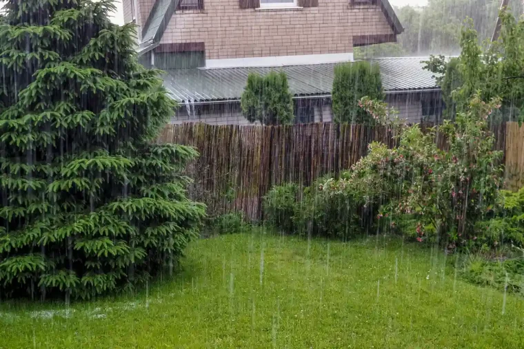 starkregen und hagel so können sie ihre pflanzen vor einem sommersturm schützen!