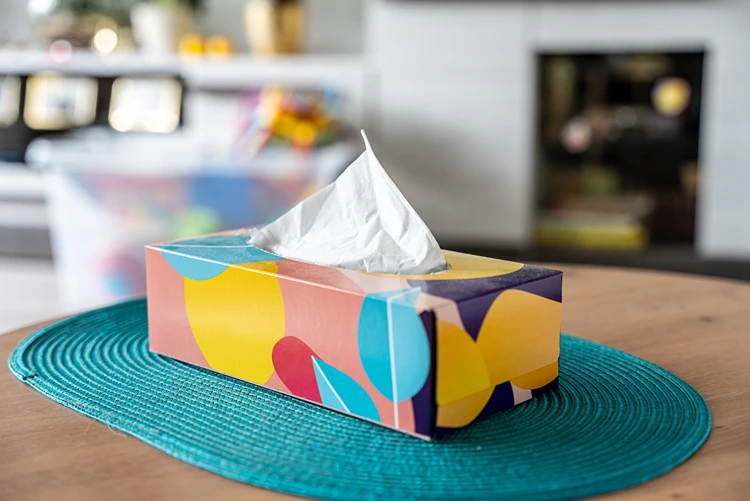 taschentuchboxen wiederverwenden 3 kreative ideen