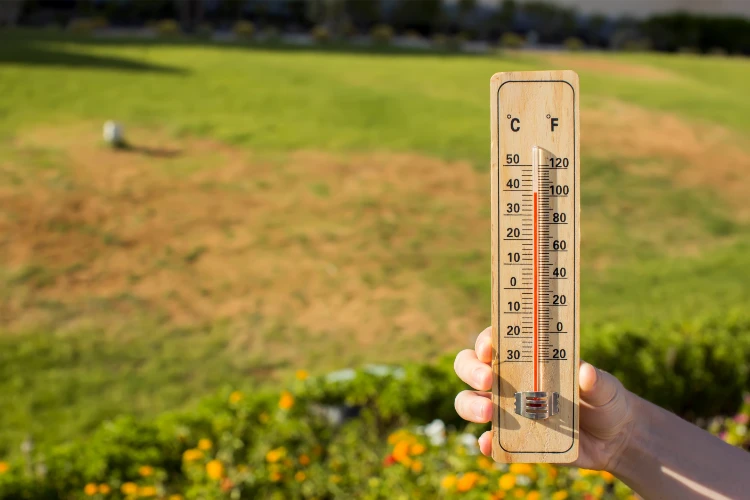 thermometer in hand vor trockenem gras während der hitzewelle
