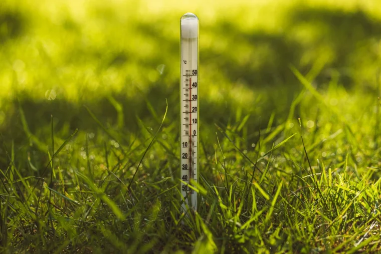 thermometer mit einer messskala auf grashintergrund, heißes wetter. 40 grad