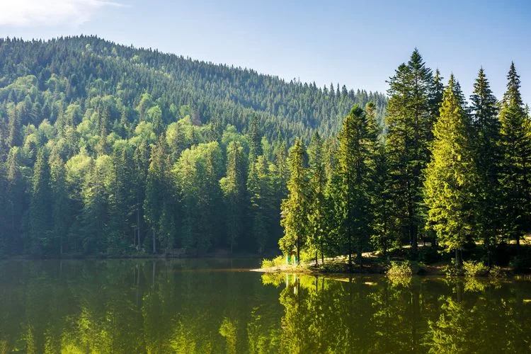 traumorte zum echten entspannen