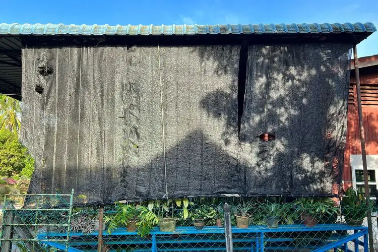 vorsicht bei der hitzewelle