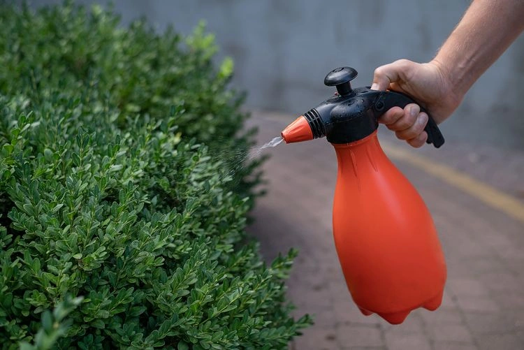 warum natürliche dünger die beste wahl sind