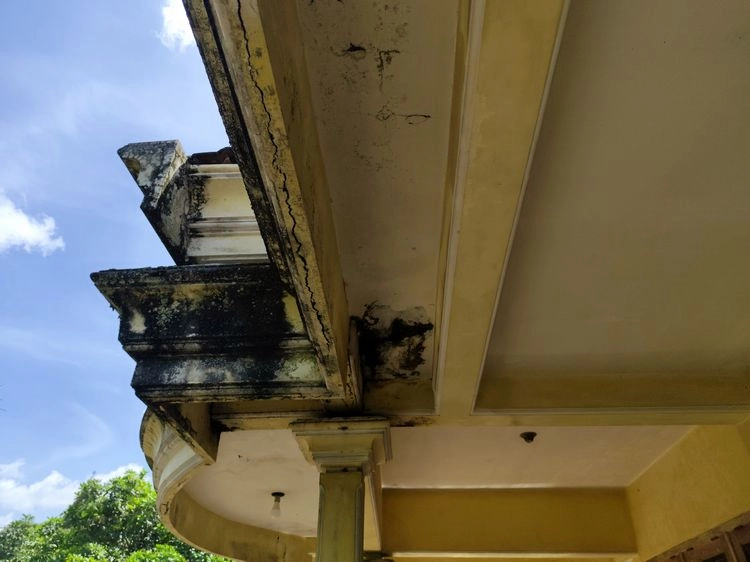 was ist die ursache für schimmel an der hauswand