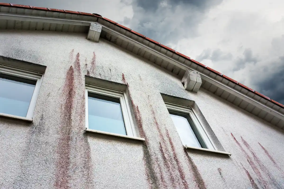 was kann man tun, wenn die außenwand schimmelt