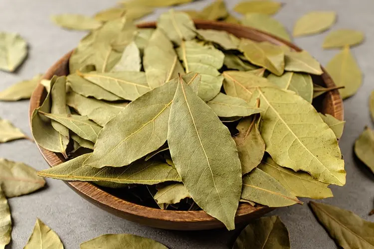 Wie Sie den Lorbeer-Waschtrick richtig durchführen
