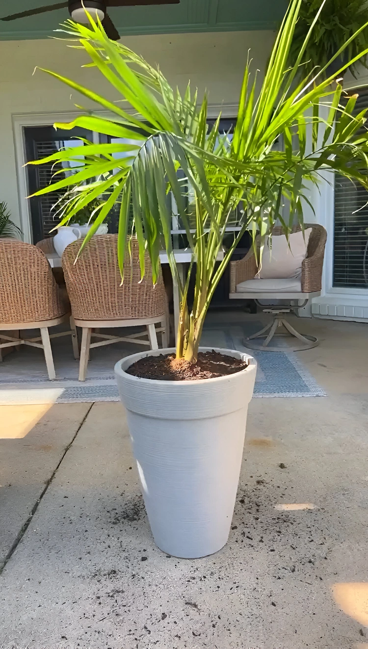 Alte Schwimmnudeln verwerten und Blumenerde sparen durch Drainageschicht