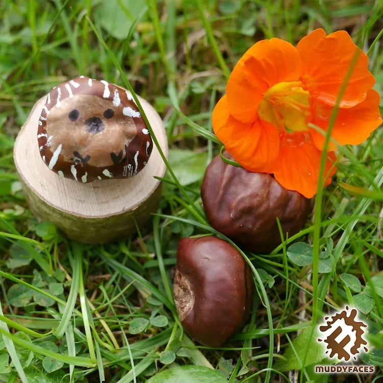 Bastelideen für den Herbst für Kinder und Erwachsene