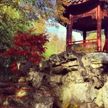 botanische Gärten im Herbst besuchen Hortus Haren