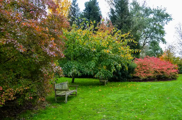 Botanischer Garten in Cambridge in Herbstfarben