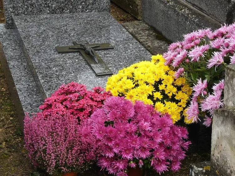 Chrysanthmen in Gelb, Pink, und Rosa, kombiniert mit Erika