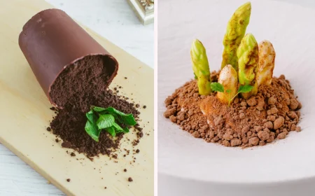 desserts mit schokoladenboden