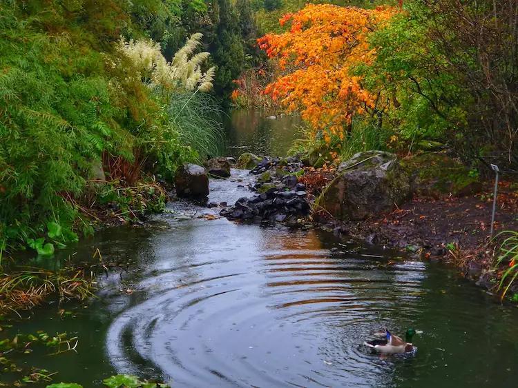 Die schönsten botanischen Gärten im Herbst