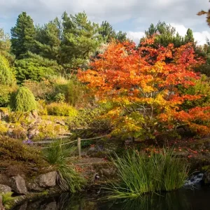 Edinburgh botanischer Garten im Herbst
